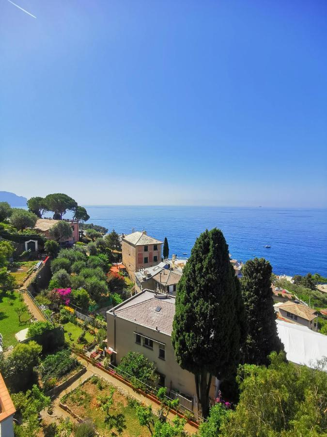 Marenostrum Pieve Ligure Eksteriør billede
